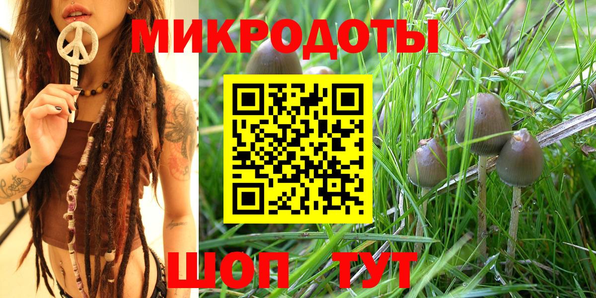 Псилоцибиновые грибы Cubensis  Вход с VPN  Петрозаводск 
