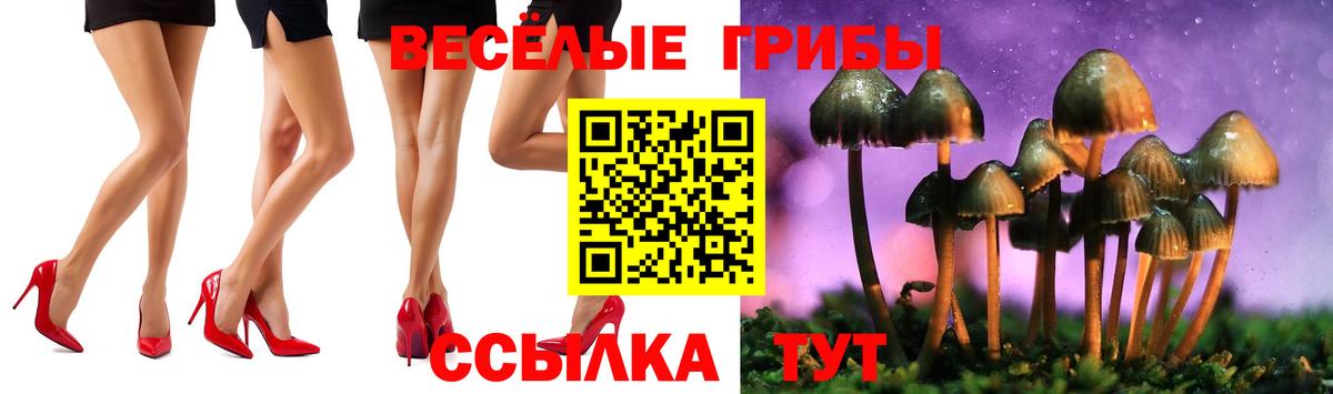 Галлюциногенные грибы ЛСД Петрозаводск